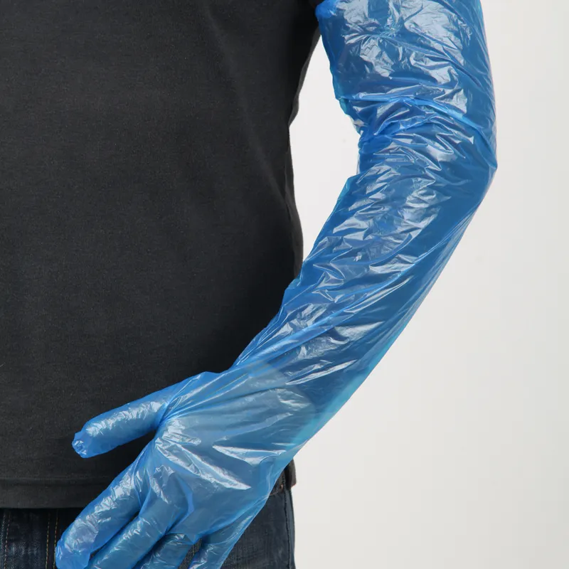 Related to guante con elástico